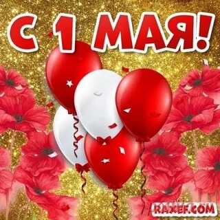 1 may