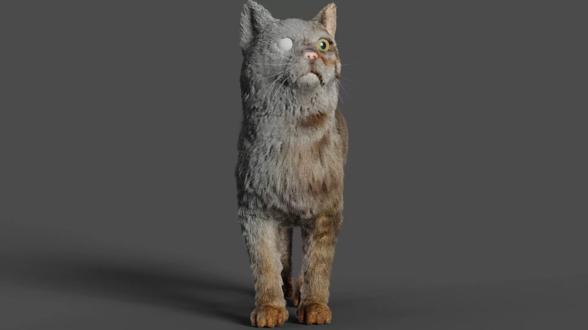 Cat blender video. Котик в блендере. Blender 3d кошка. Моделька кота блендер. 3д модель кошка блендер.