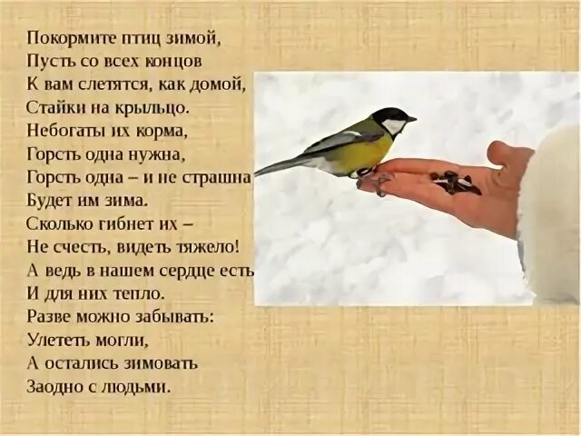 Стихи про птиц зимой