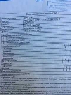 Стафилококк ауреус 10 в 4