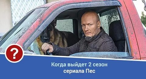 Пес когда вышел