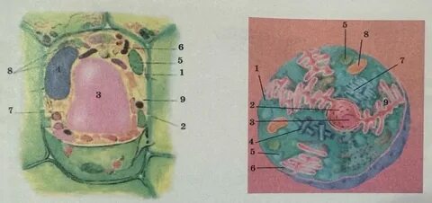 Желкелер, қаншықтар, жезөкшелер, маскүнемдер