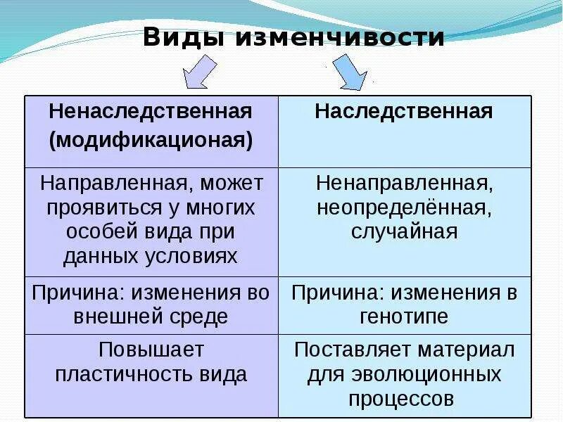 Ненаследственные изменения организма. Наследственная изменчивость таблица. Типы наследственной изменчивости. Виды наследственной изменчивости примеры. Типы ненаследственной изменчивости.