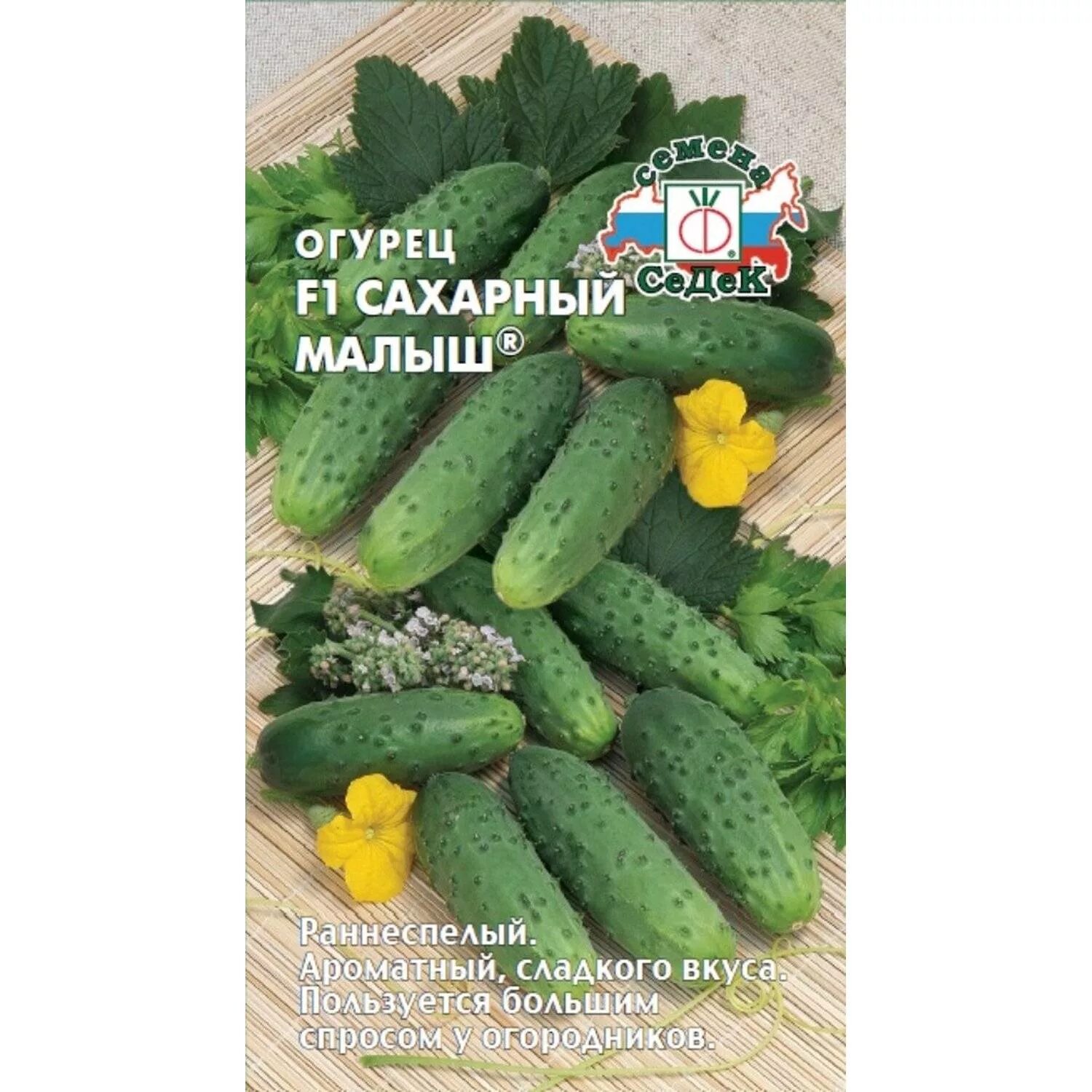 Сорт огурцов малыш. Огурец чемпион седек f1 0,2 г. огурец либелле f1 седек. седек огурец сахарный малыш f1. седек огурец ажур f1.