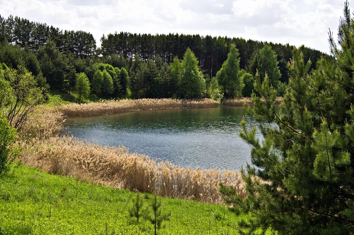 Лежнинское озеро Кировская область. Озеро в Пижанском районе Кировской области. Лежнинское озеро в Пижанском районе. Лежнинское озеро озеро Кировской области.