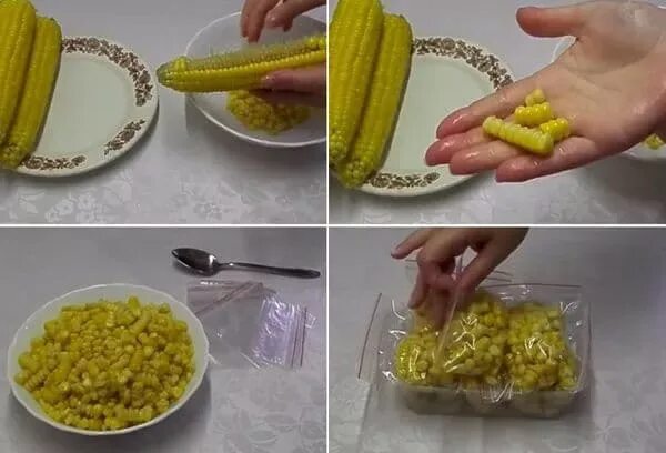 Морозят ли кукурузу в початках на зиму. Заморозка кукурузы в початках на зиму. как заморозить кукурузу. кукуруза на заморозку. бланширование кукурузных зерен.
