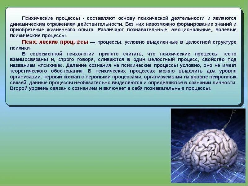 Уровни организации психического. Основу психической деятельности составляют. Психическая деятельность.