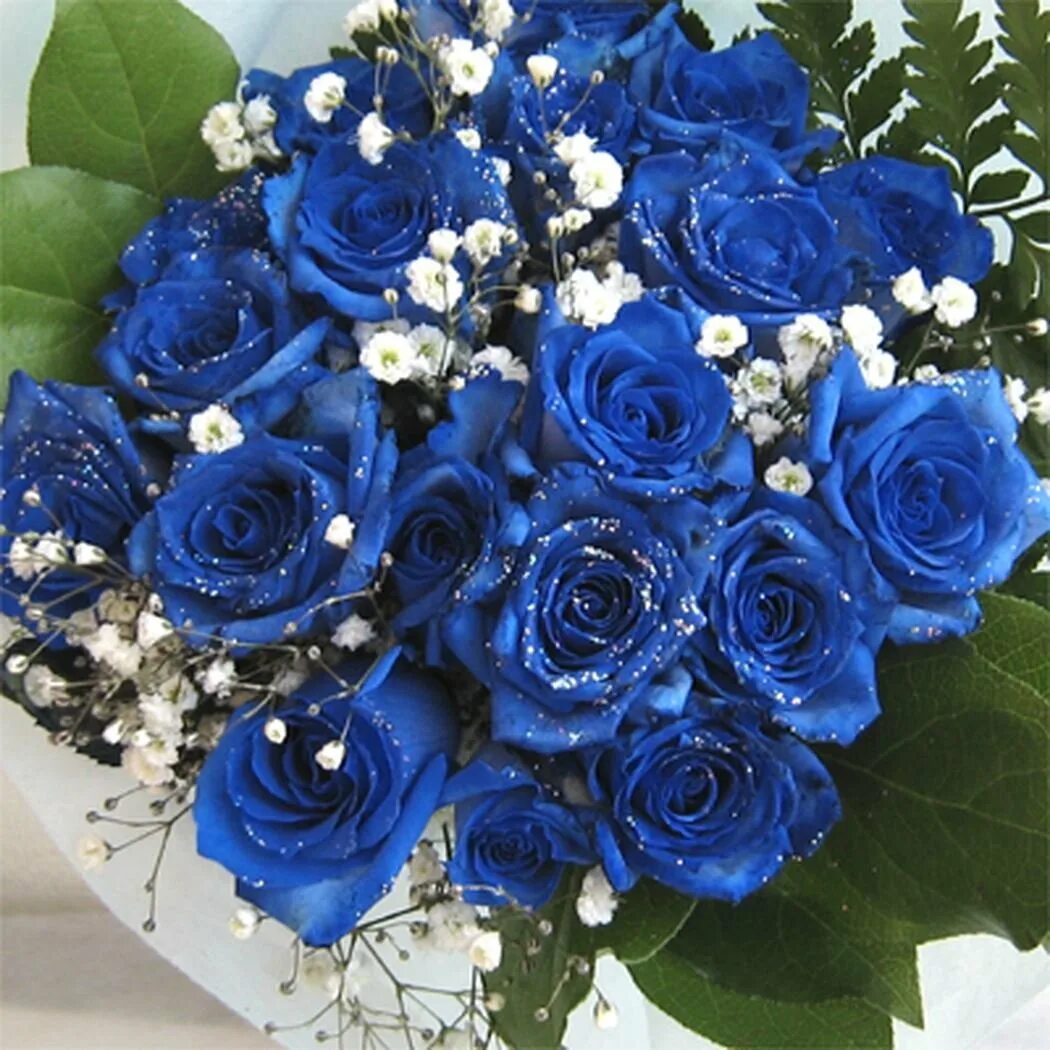 Красивые цвет из синих цветов. Синие розы с гипсофилой. Букет из синих роз с гипсофилой.