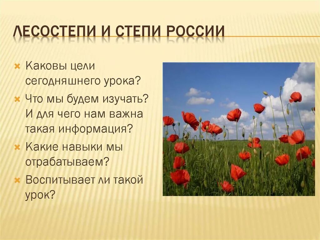 Лесостепь россии урок. Степь презентация. Степи России презентация. Степи и лесостепи презентация. Климат степи в России.