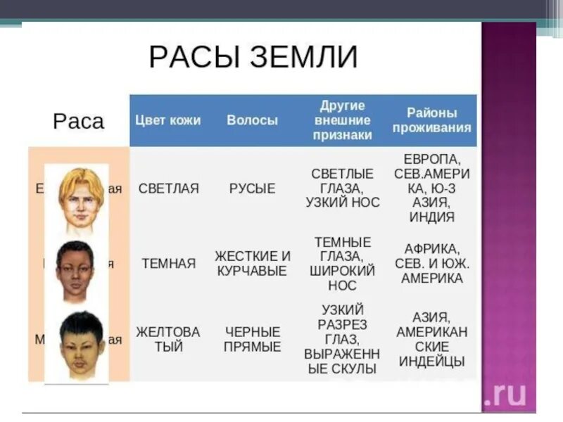 Расы и народы география 5. Расы людей. Расы людей на земле. Какие существуют расы людей. Расы населения земли.