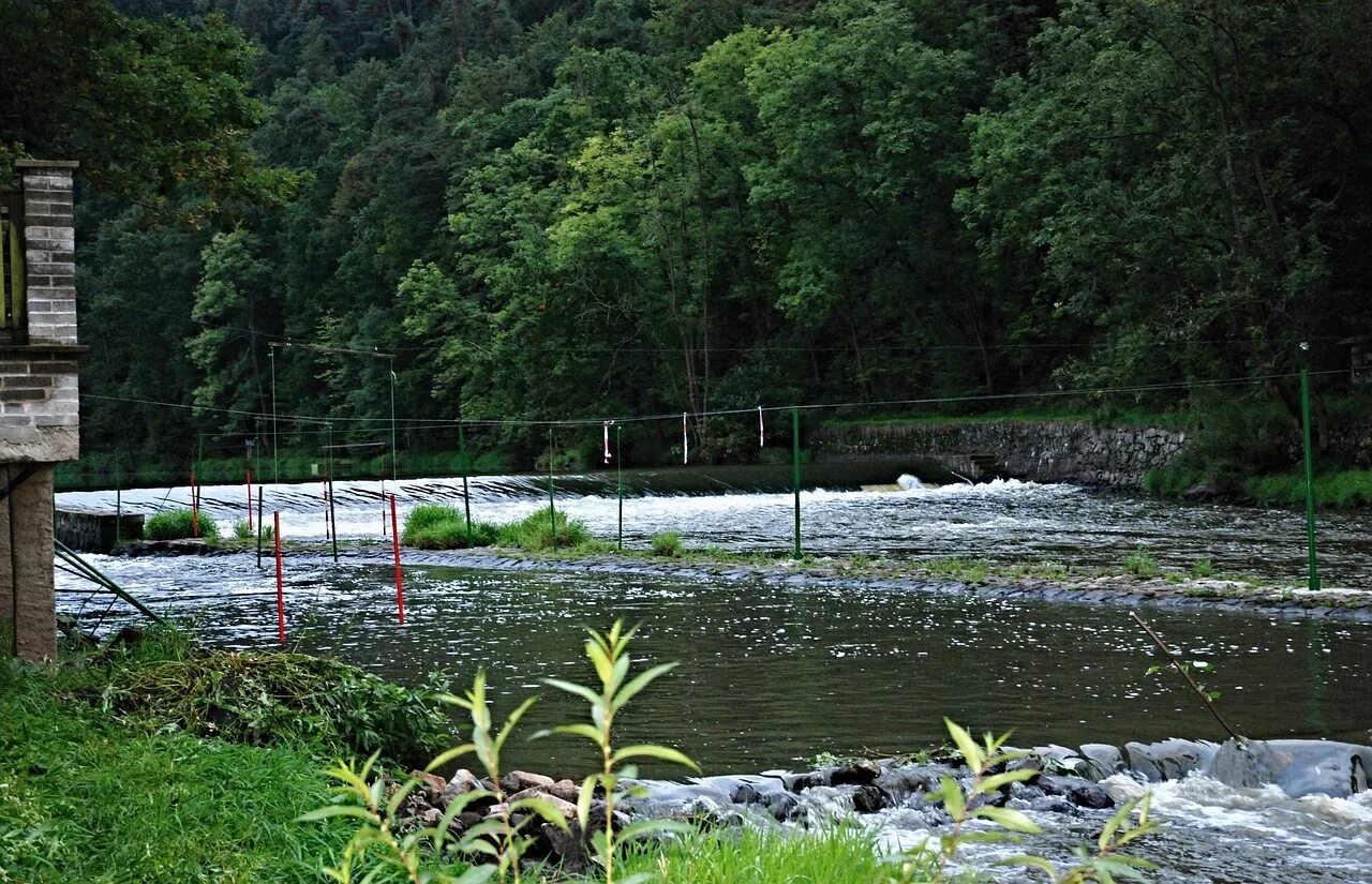 River camp. Река Кемп. Ривер Камп. Запруда на ручье. Лагерь в лесу у реки.