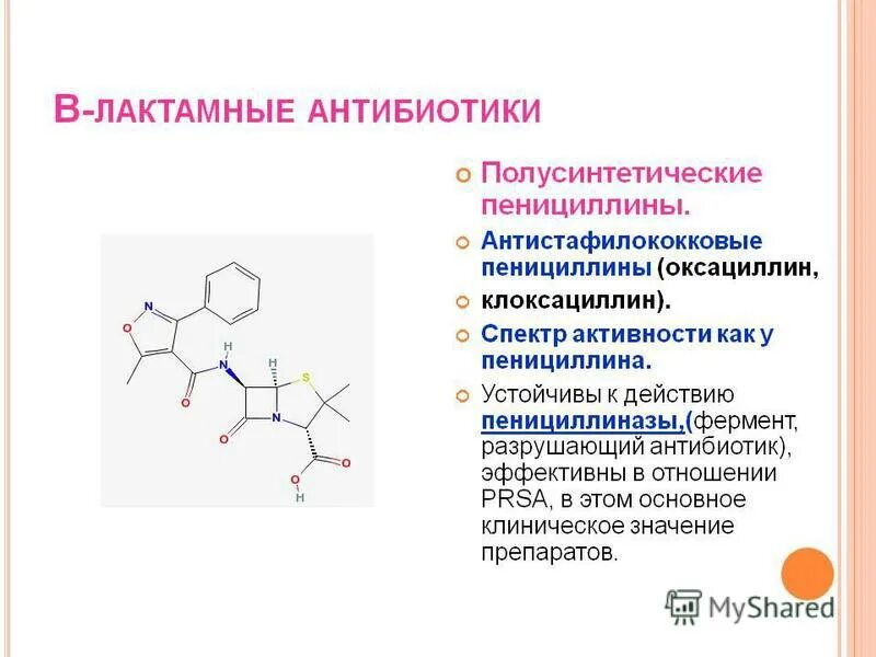 Пенициллин бета лактамный антибиотик. Спектр активности бета лактамных антибиотиков. Антибиотики полусинтетические пенициллины. Полусинтетические пенициллины антистафилококковый пенициллин. Пенициллины действуют