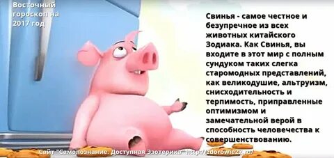 Когда был год свиньи последний раз