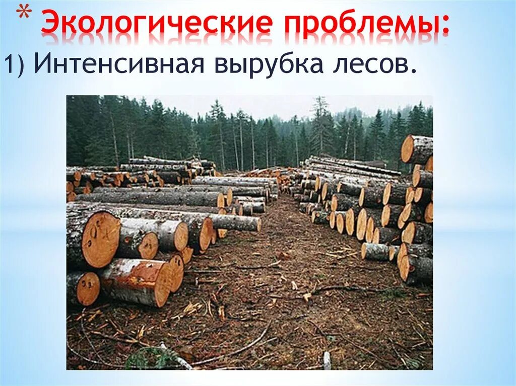 Экологические проблемы. Экология вырубка лесов. Вырубка леса проблема. Проблемы экологии вырубка лесов.
