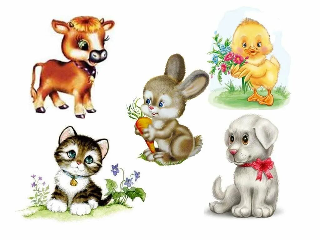 Детский сад для зверей. Для детей. Животные. Животные картинки для детей. Изображения животных для детей. Рисунки животных для детей цветные.