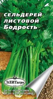 Сельдерей бодрость листовой
