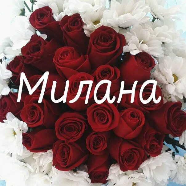 Миланочка картинки. Миланочка картинки. Миланочка картинки. Цветы для миланы. Миланочка картинки.