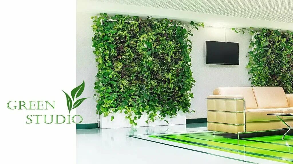 SOFU LIFESTYLE on Instagram: "Tired and dry eyes? This wall has great healing po