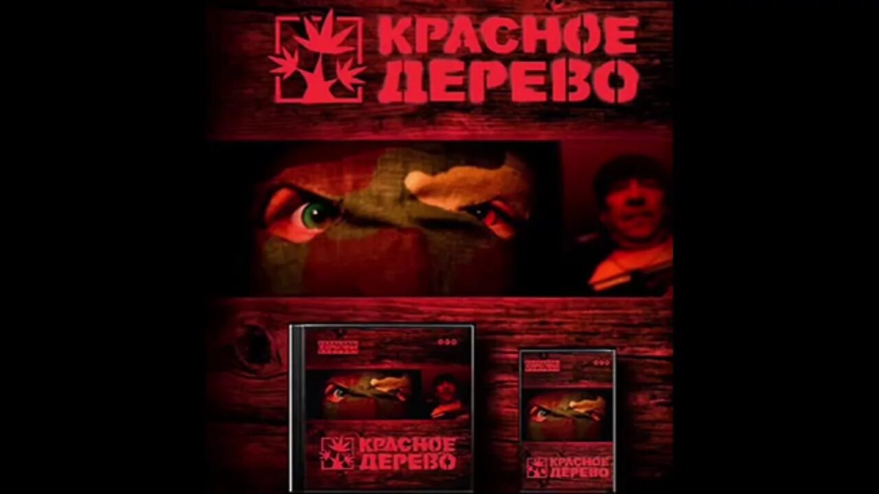 Красное дерево 2005. Красное дерево группа 2005.