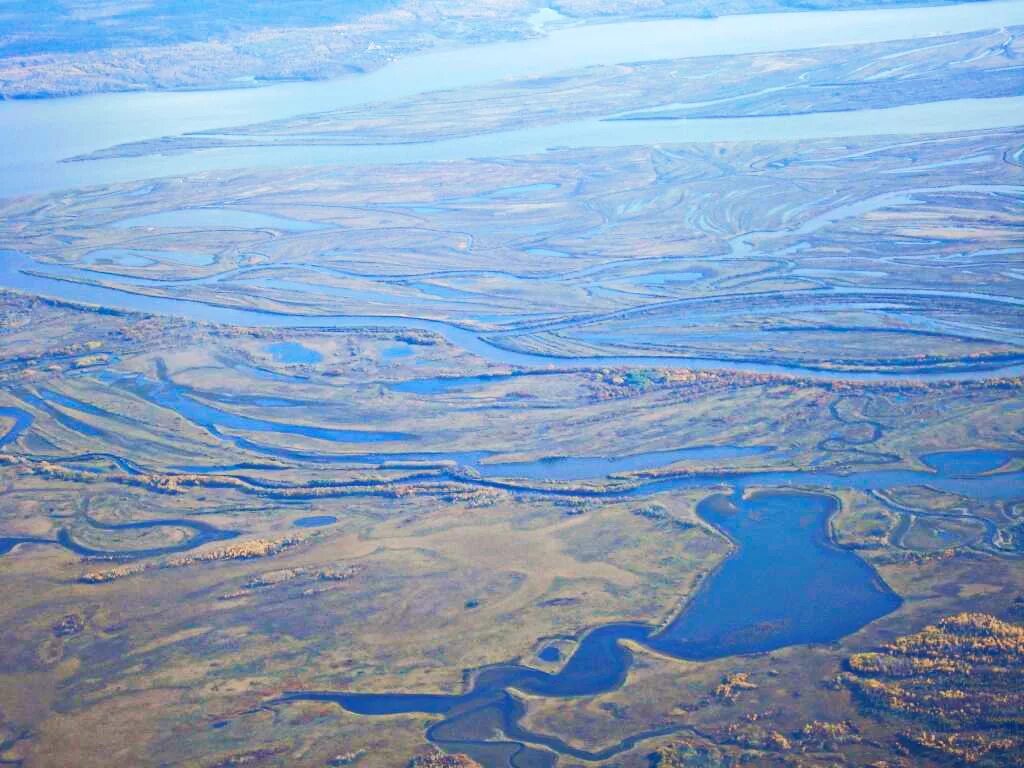 Амур местоположение. Устье реки Амур эстуарий. Дельта реки Амур. Низовье реки Амур. Исток реки Амур.