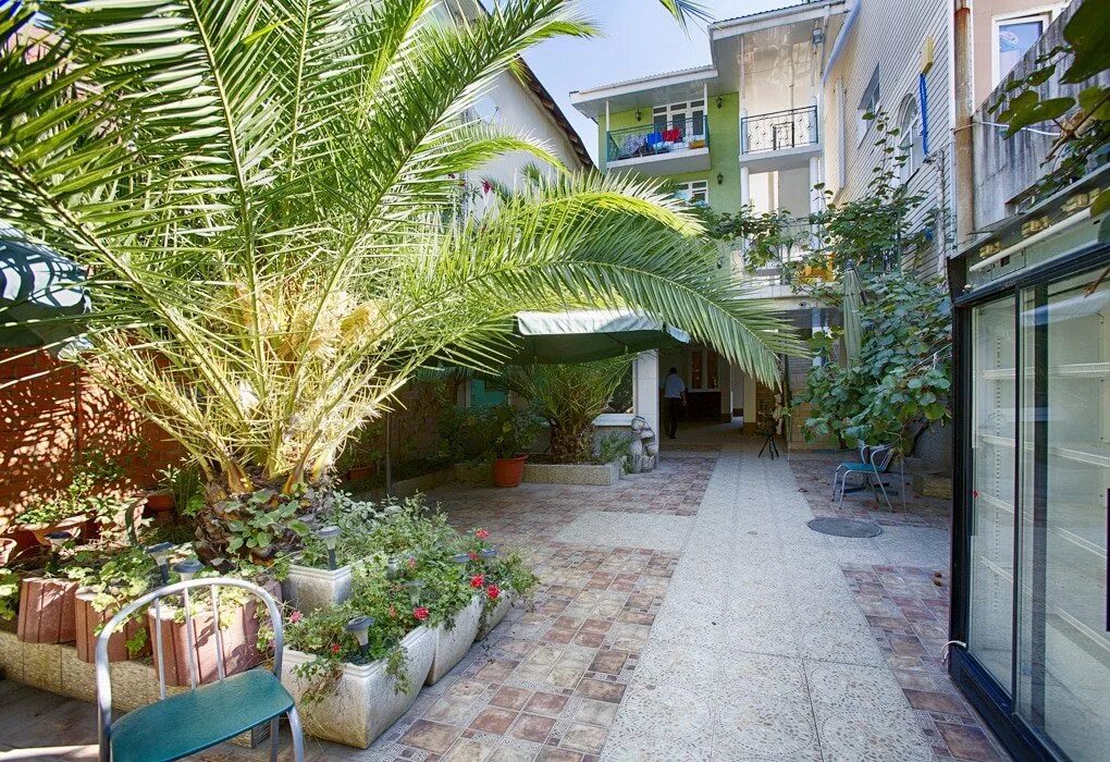 Зеленый двор в городе. Адлер просвещения 169 а милетта. Адлер цветочная улица в сочи. Ул шишкина 4 сочи. Сочинский двор.