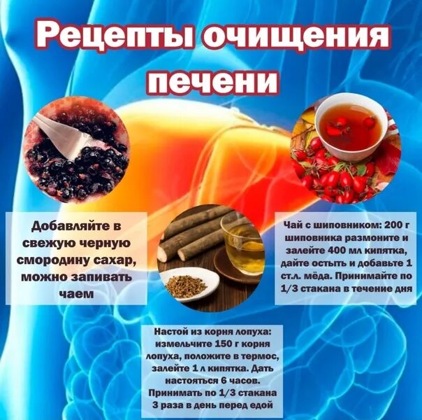 Рецепт для чистки печени