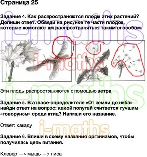 Проектное задание по окружающему миру 3 класс