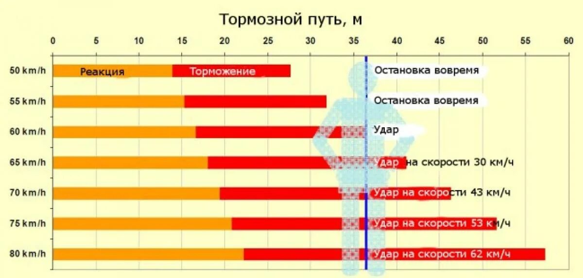 Тормозной путь с 90 км. Тормозной путь с 60 км/ч на сухом асфальте. Тормозной путь легкового автомобиля при скорости 60 км/ч таблица. Тормозной путь легкового автомобиля таблица. Тормозной путь автомобиля при скорости 40 км/ч.