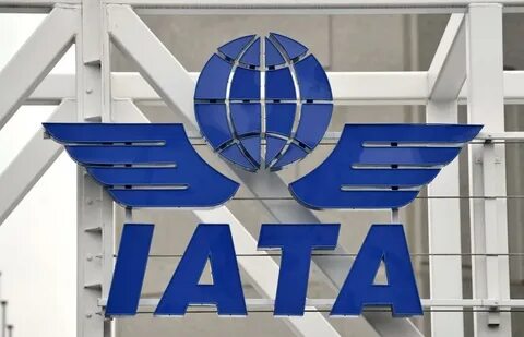 Международная организация воздушного транспорта