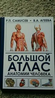 Лучший атлас по анатомии человека