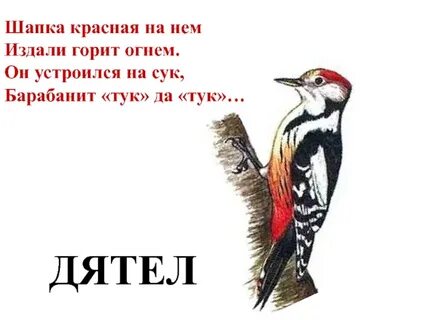 Включи дятел