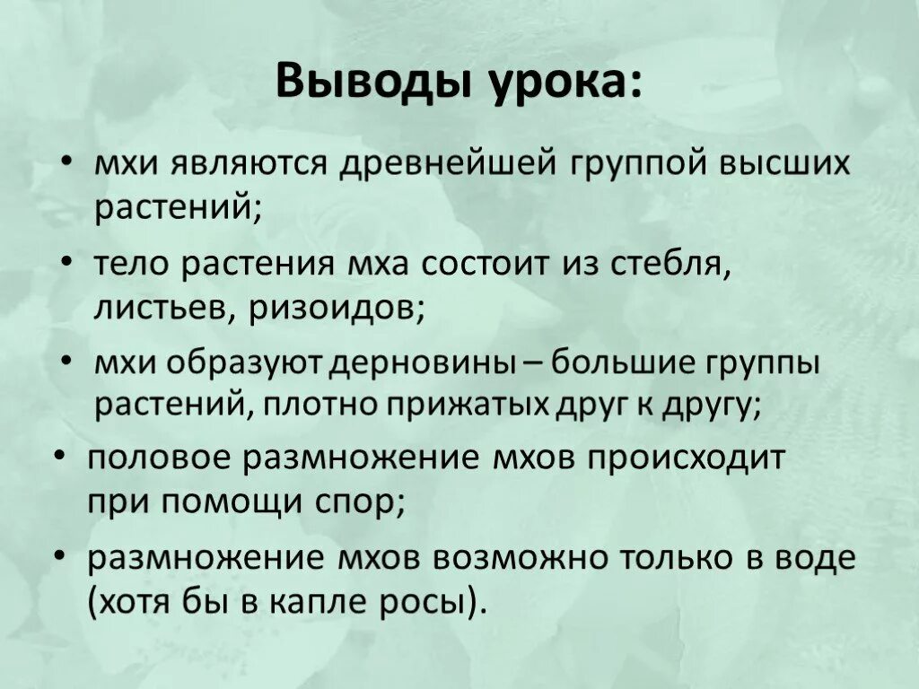 Высокий выше высочайший какой вывод. Строение мха вывод. Вывод по теме изучение внешнего строения моховидных растений. Вывод по лабораторной работе Моховидные. Вывод к теме Моховидные.