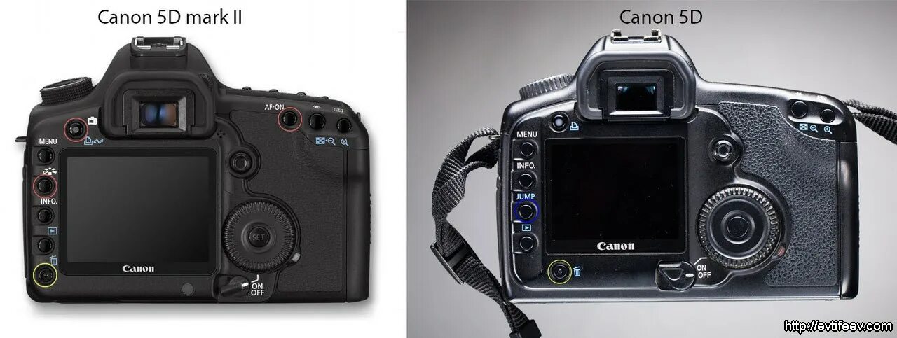 5d vs mark. 5d Mark 2. Размер матрицы Canon 5d Mark 2.