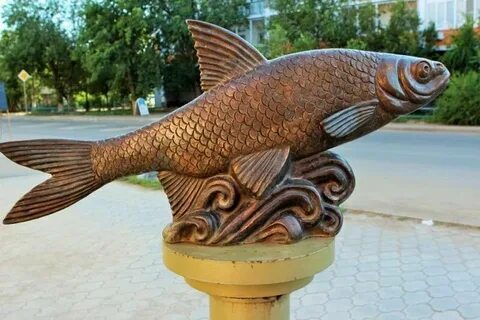Золотая рыбка липецкая область