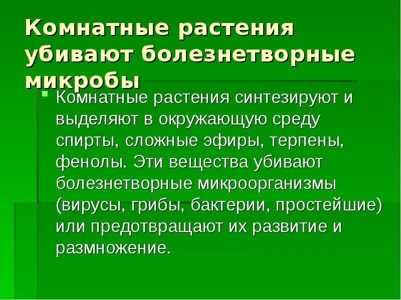 Основные свойства растения. Болезнетворные бактерии растений. Сообщение на тему болезнетворные растения. Комнатные растения убивают микробов. Свойства растений.