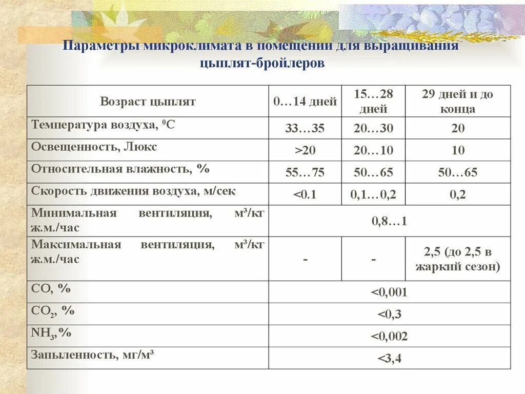 Температурный режим бройлеров кобб 500. Температурный режим для цыплят бройлеров таблица кобб 500. температурный режим выращивания бройлеров. параметры выращивания бройлеров. бройлеры температурный режим выращивания цыплят.