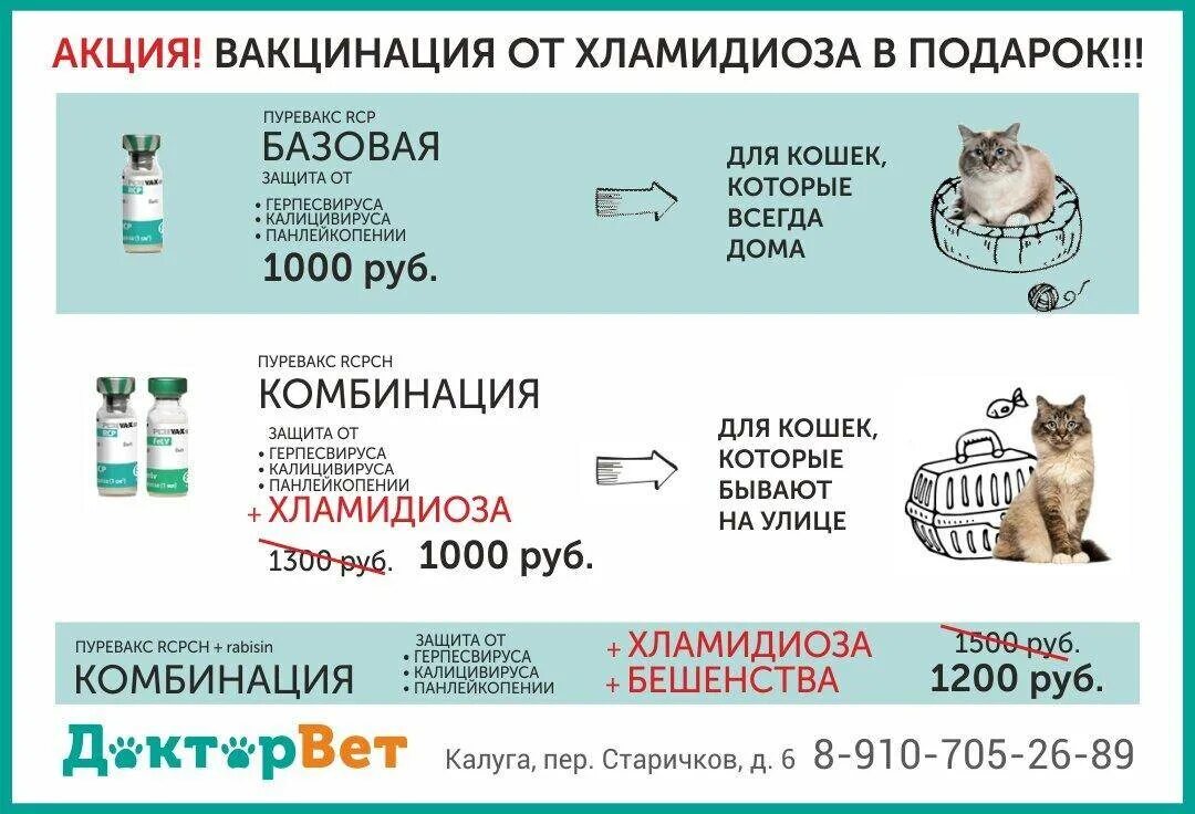 Вакцинация котят схема. Прививки для кошек. Схема прививок для кошек. Вакцины для кошек акция. Сколько стоят прививки для кошек