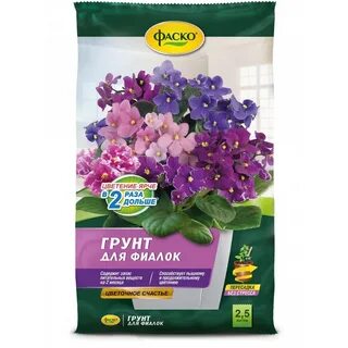 Фаско для фиалок