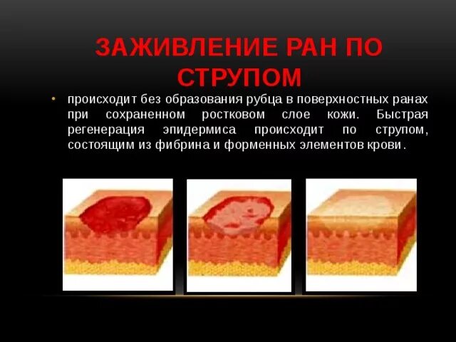 Рана Дусекенова А.К