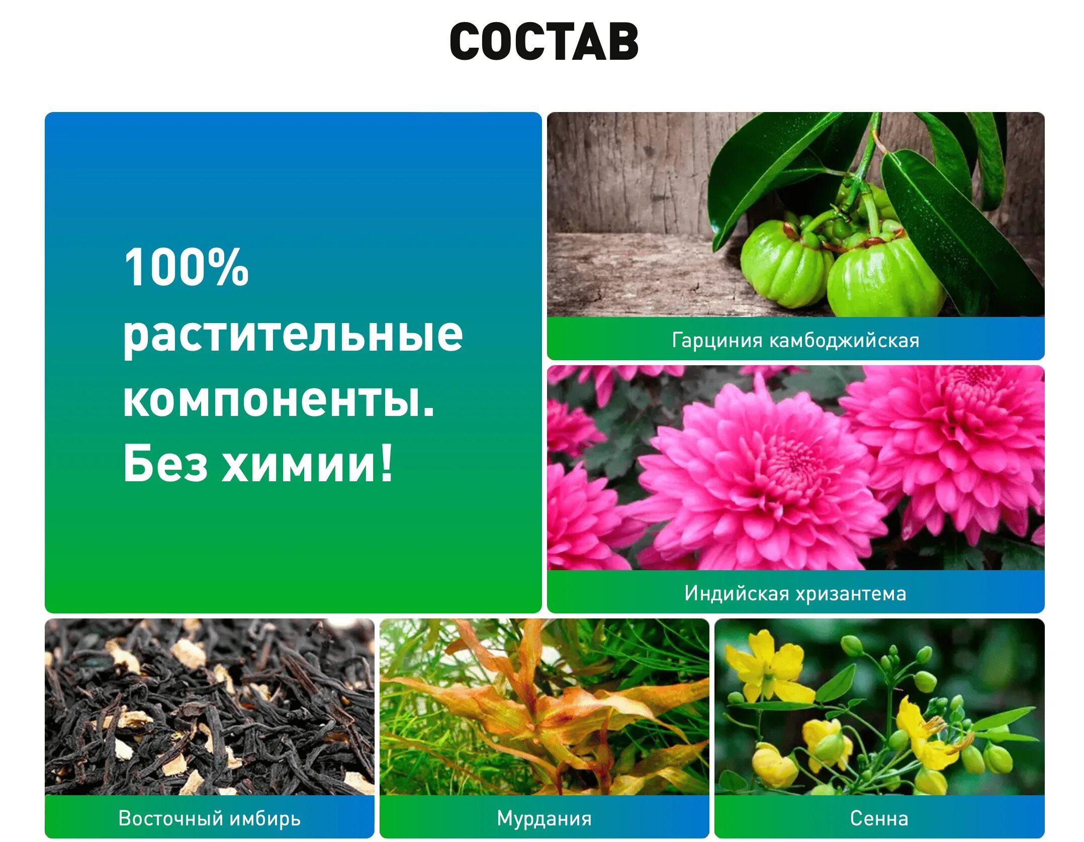 Бунси отзывы. Бунси тайские капсулы. бунси тайские таблетки для похудения. бунси фото. бунси капсулы усиленная формула.
