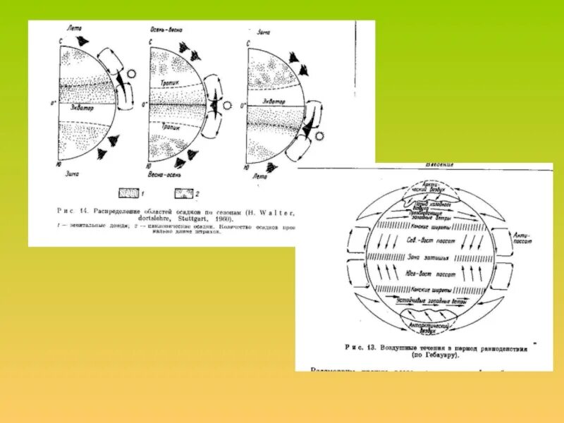 А. Берг л с академик. Учение о ландшафтах. Учение о ландшафтах. Учение о ландшафтах.