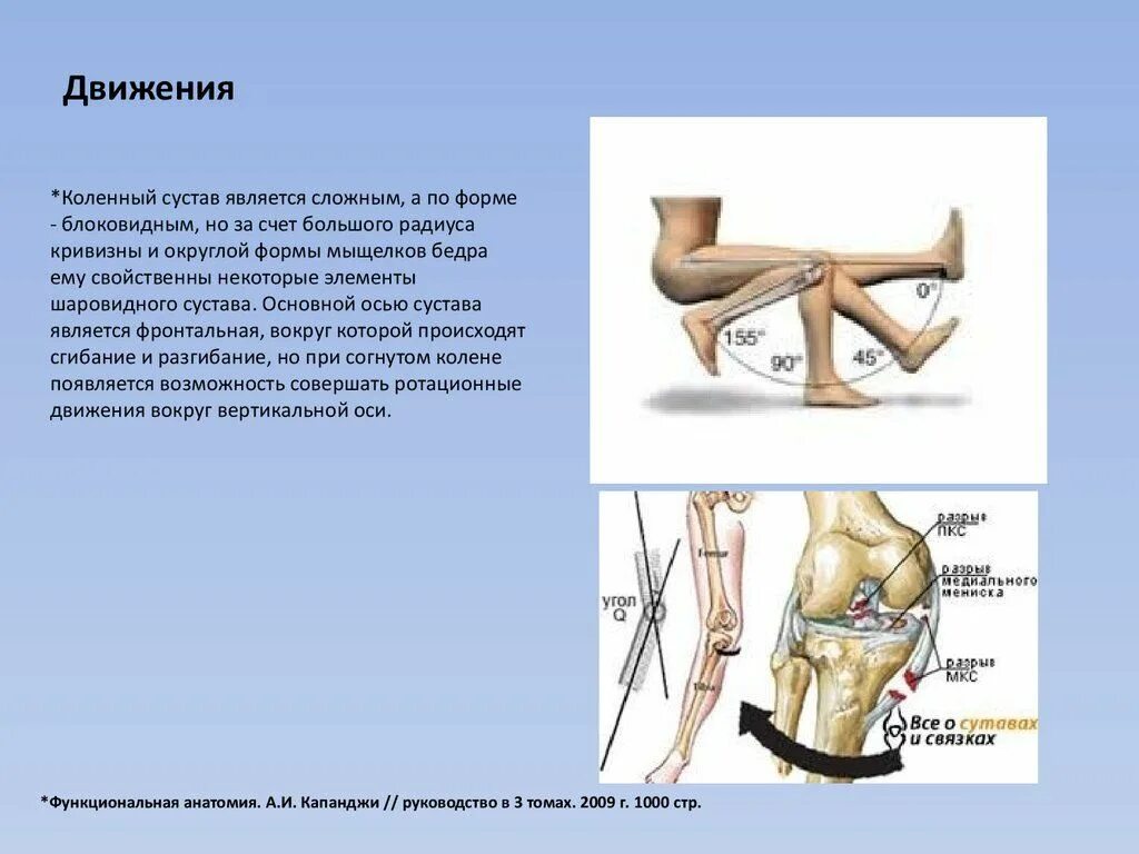 Какие движения происходят