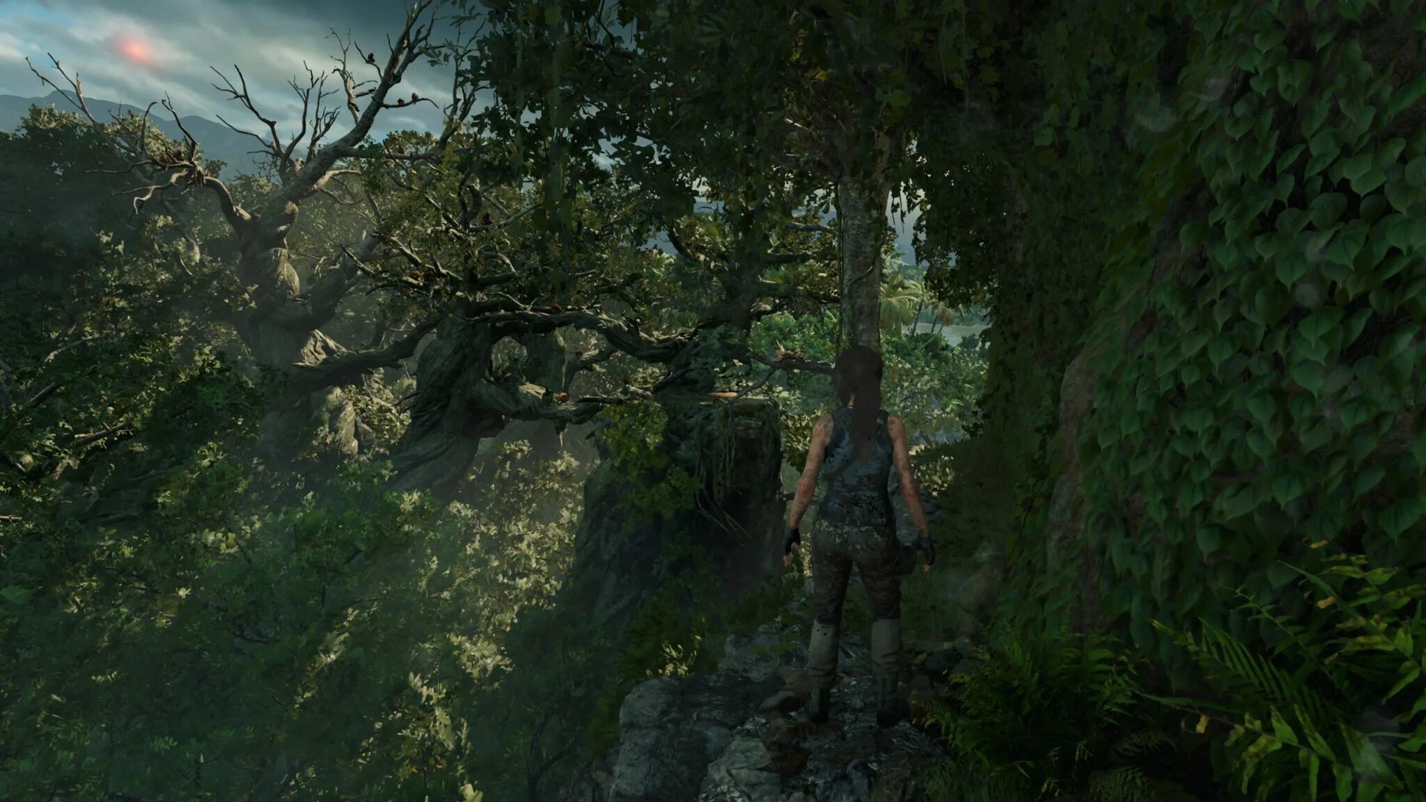 Не запускается shadow of the tomb raider. Shadow of the tomb raider. shadow of the tomb raider: definitive edition. shadow of the tomb raider обои. shadow of the tomb raider wallpaper.
