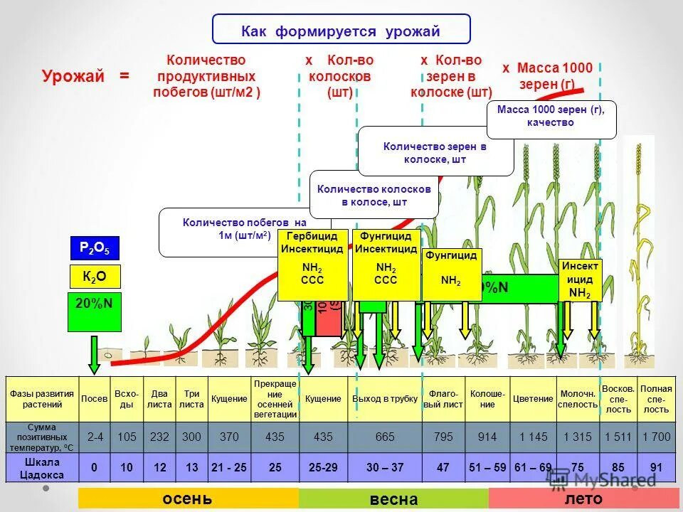 Температура вегетации