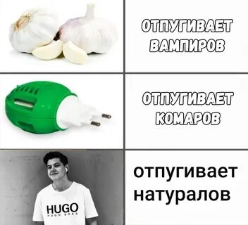 Мем ботаники