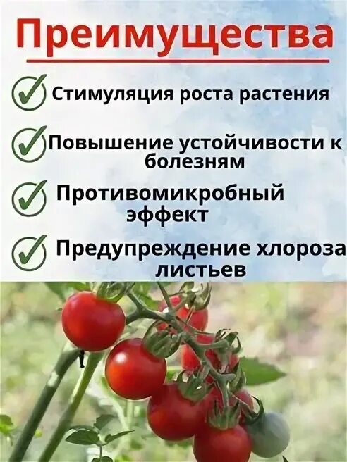Томат диаболик f1. Характеристики сортов томатов в таблице. Томаты госреестра. Энерго помидоры описание. Томат кемеровец семена алтая.