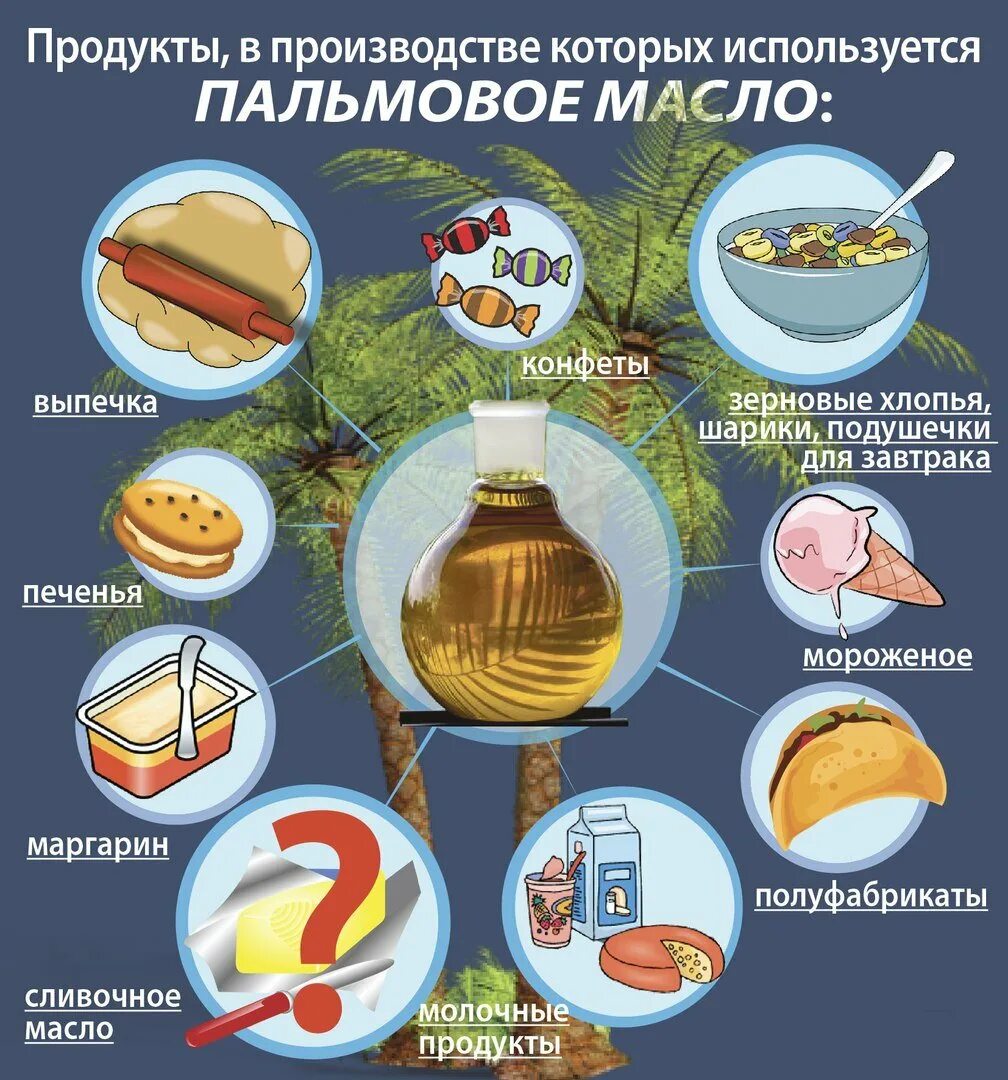 Откуда пальмовое масло