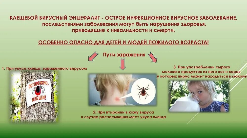 Симптомы энцефалита у человека. Клещевой вирусный энцефалит клиника. клещевой энцефалит это вирусное заболевание. клинические проявления клещевого энцефалита. клиническая картина клещевого энцефалита у детей.