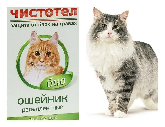 Как одеть коту ошейник от блох. Противоблошиный ошейник для кошек. кошачий ошейник от блох и клещей. ошейник чистотел био для кошек. цветной ошейник от блох для кошек.