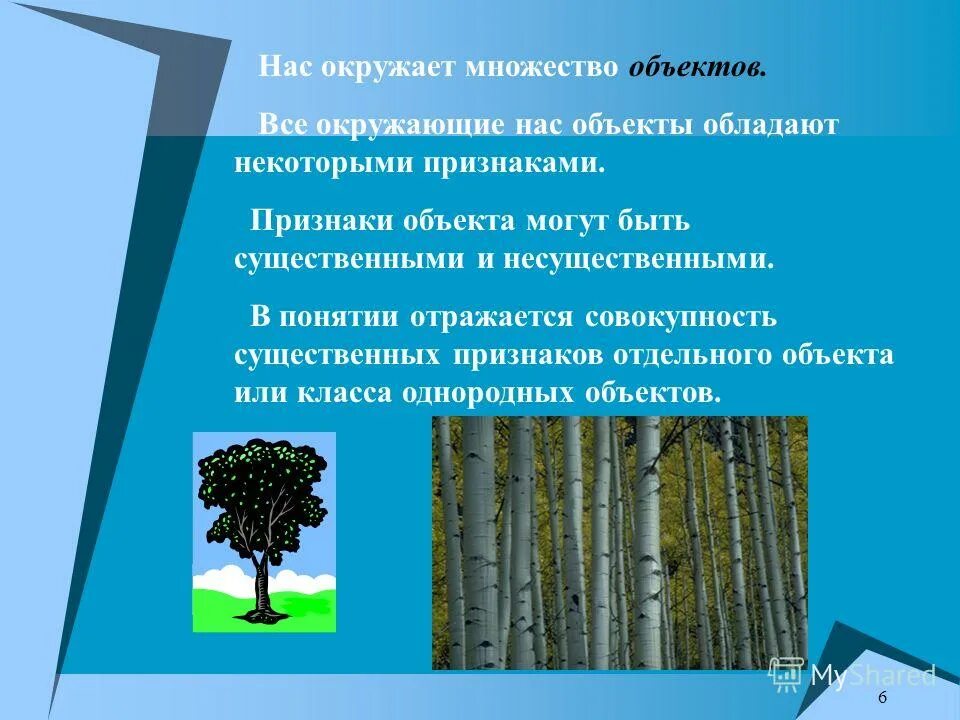 Модель отражает некоторые существенные признаки объекта. Существенные и несущественные объекты. несущественные признаки объектов. существенные признаки объекта здания. существенные признаки это в информатике.